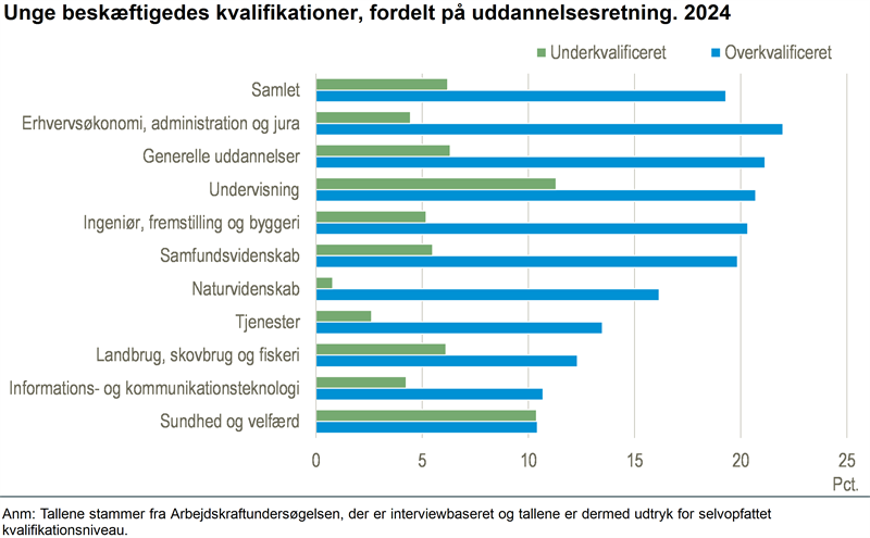Hver femte af de unge var overkvalificeret til jobbet